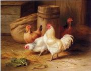 unknow artist Cock 187 Germany oil painting artist